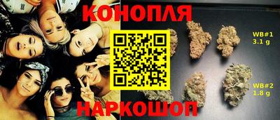 стафф Будённовск
