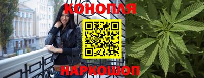 стафф Будённовск