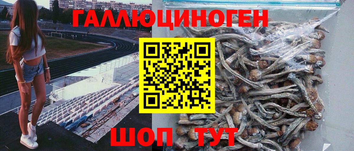 Галлюциногенные грибы мицелий Саранск
