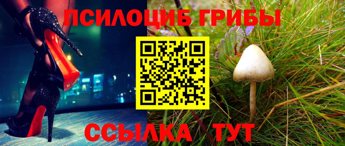 Псилоцибиновые грибы прущие грибы  Псилоцибиновые грибы Psilocybe  Вход с VPN  Саранск 